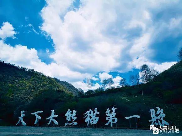 全民烧脑3去广告版